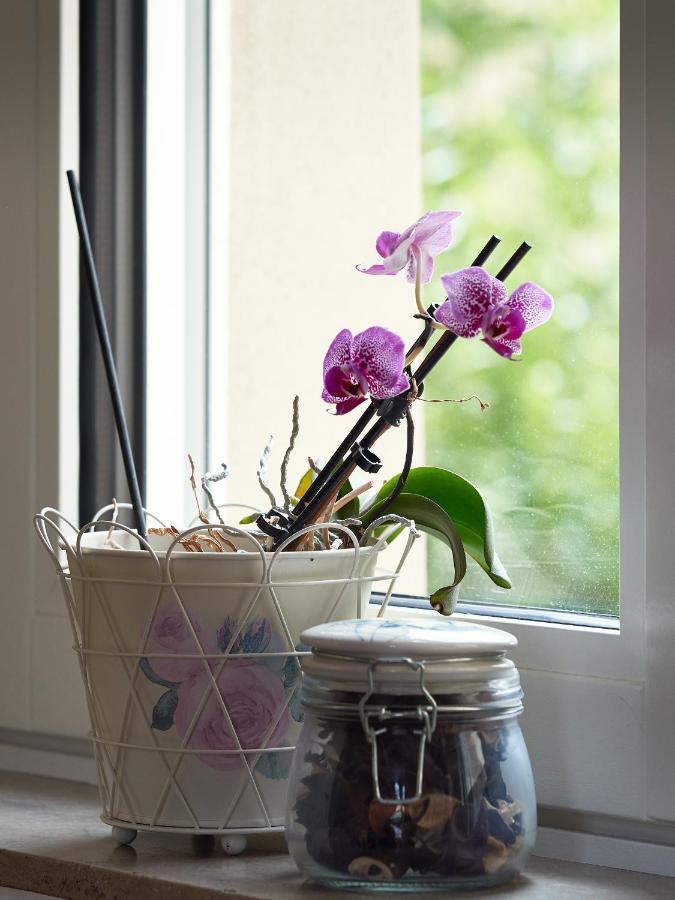 Haus Bley Apartment Wittlich Luaran gambar